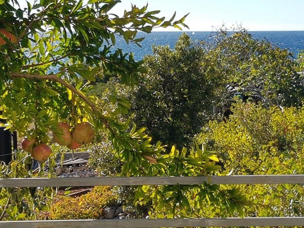 Modern Apartment In Primo Ten Burnji With Private Terrace Dolac エクステリア 写真